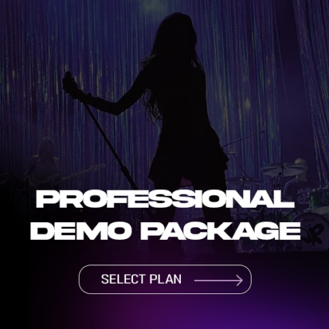 Professional Demo Package